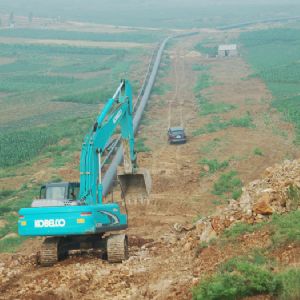 ?山東天然氣管網工程泰安-青島干線工程線路施工